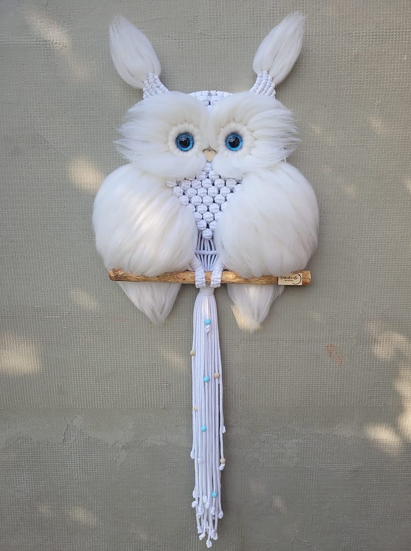 366003733_6968068476578949_3667597789469148205_n